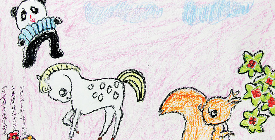 雅安地震災(zāi)區(qū)孩子們的畫作